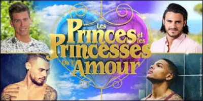 Qui ne sera pas dans "Les Princes et les Princesses de l'Amour" ?