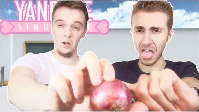 Qui est Frite pour Sora ?