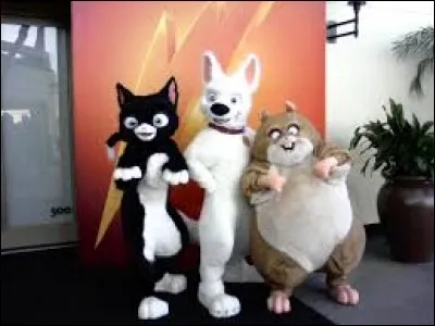 Et eux, dans quel film apparaissent-ils ?