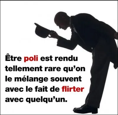 Es-tu poli ?