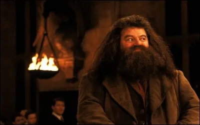 Qu'y a-t-il d'écrit sur le gâteau d'anniversaire que Hagrid offre à Harry ?