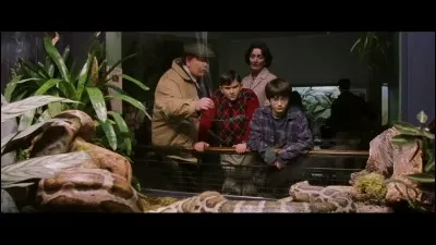Lorsque Harry parle à un serpent, il lui demande si c'était bien dans son pays natal et si sa famille lui manque. 
De quel pays parle Harry ?