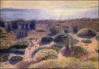 Qui a peint "La plage de la Vignasse" ?