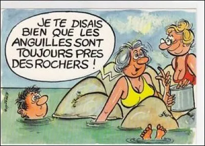 Dans quelle mer migrent les anguilles pour se reproduire ?