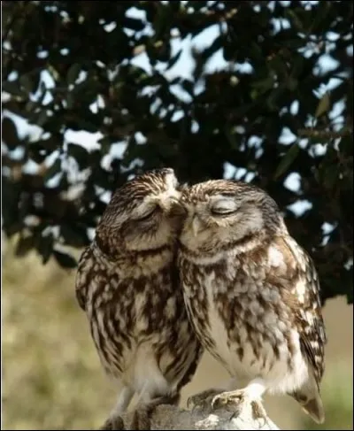 Tu regardes à l'intérieur de toi et tu deviens ... of your own body !