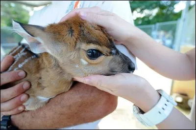 Vous êtes un ... merveilleux - c'est que je me suis beaucoup entraîné en solitaire !