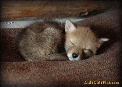 Un sourire coûte moins cher que l'électricité, mais donne ... de lumière !