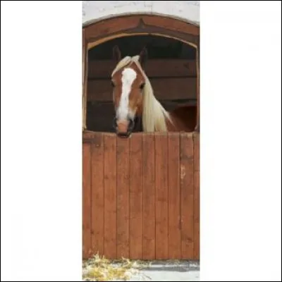 Qu'est-ce qui peut occasionner des problèmes de transit intestinal ?