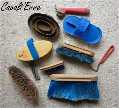 Le pansage s'effectue avant et après avoir monté.