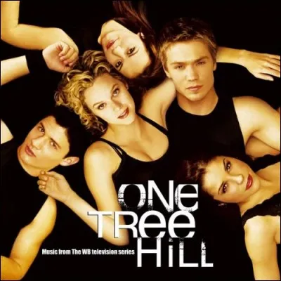 Combien y a-t-il de pistes sur l'album "One Tree Hill : Volume 1" ?