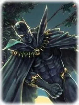 Quelle est la particularit de 'la Panthre noire' ?