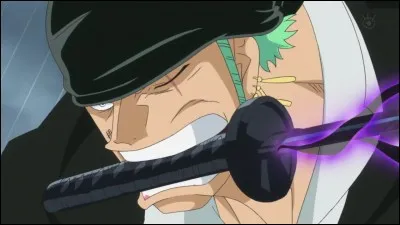 Quelle était la prime que Doflamingo a donnée pour Zoro à Dressrosa lors de sa chasse à l'homme ?