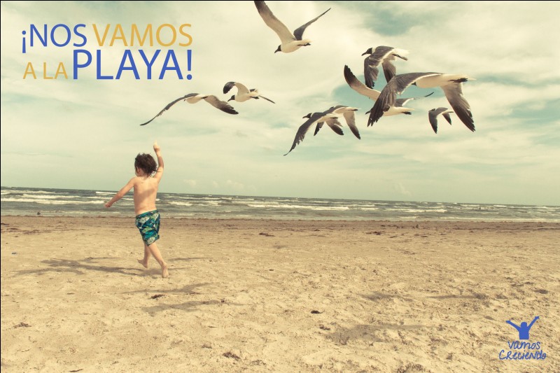 "Vamos à la playa" est une chanson de Miranda. Par qui a-t-elle été remise au goût du jour en 2011 ?