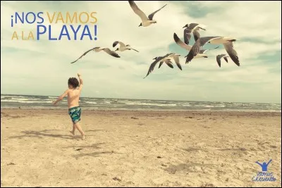 "Vamos à la playa" est une chanson de Miranda. Par qui a-t-elle été remise au goût du jour en 2011 ?