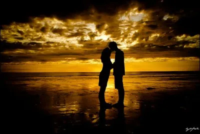 Qui chantait "L'amour à la plage" ?