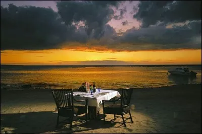 Qui chantait "La plage aux romantiques" ?