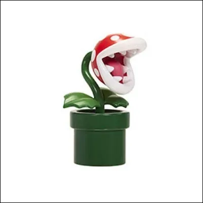 Quelle est cette plante ?