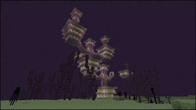 Où trouve-t-on les Élytras ?