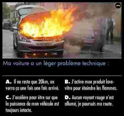 Qu'allez-vous faire ?