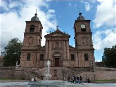 Quelle roche a été utilisée pour construire la cathédrale de Saint-Dié ?