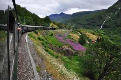 Dans quel pays nordique circule le "Flam Railway" ?