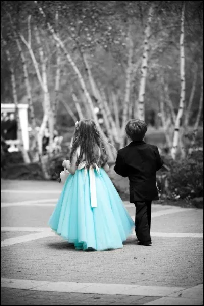 Dans le livre de la comtesse de Ségur "Les malheurs de Sophie", comment se prénommait son cousin ?