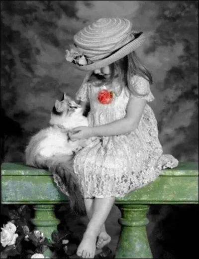 Vous souvenez-vous du prénom de la petite fille incarnée par Brigitte Fossey, dans le film "Jeux Interdits" ?