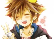 Test Quel personnage de Kingdom Hearts es-tu ? [spoil]