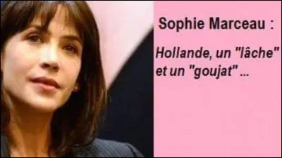 Le mot "goujat" convient pour désigner quelqu'un qui est grossier par habitude et par caractère, avec une rudesse de manières et de moeurs. 
Quel synonyme ajoute à l'idée de grossièreté, celle de stupidité ?
