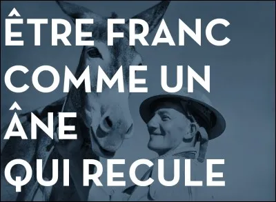 L'adjectif "franc" désigne celui qui dit sans détour, librement ce qu'il pense parce que sa nature l'y porte. Quel synonyme désigne celui qui exprime sa pensée d'une façon catégorique ?