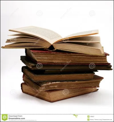 Quelle est ton activité préférée ?