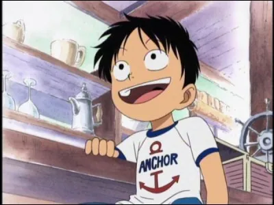 Quelle personne Luffy n'a-t-il pas rencontrée durant son enfance ?