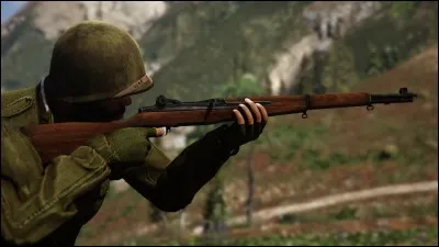 Combien de cartouches contient un M1 Garand ?