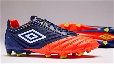 Quelle est la marque de ces crampons ?
