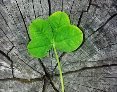 On a pas de chance aujourd'hui !