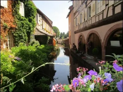 Porte du parc naturel des Vosges du nord, commune du Bas-Rhin (67) de 8 000 habitants, sur les rives de la Lauter ; tr&egrave;s grande en superficie dont plus de la moiti&eacute; de for&ecirc;ts, je longe l'Allemagne sur de nombreux kilom&egrave;tres.