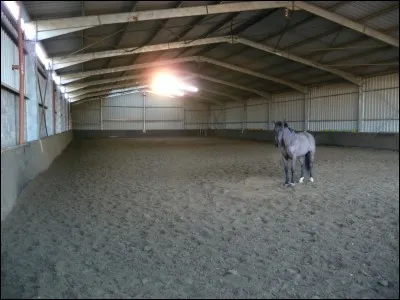 Qu'est-ce qui sert à changer de main ?