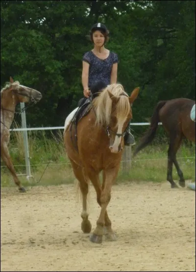 Quel saut n'existe pas ?