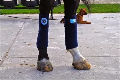 Comment met-on les bandes ?