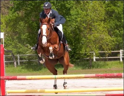 Les six phases du saut sont :