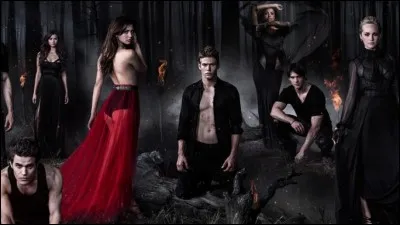 De quelle série s'agit-il ?