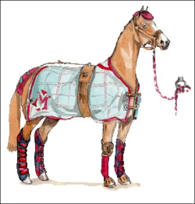 Que s'apprête à faire ce cheval ?