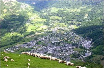 Cinquième de France métropolitaine par la superficie, je suis une commune des Pyrénées-Atlantiques (64) de 1 200 habitants ; située dans la vallée d'Ossau, je m'étends jusqu'à l'Espagne.
