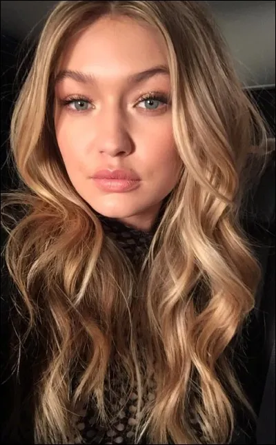 Qui sont les frères et surs de Gigi Hadid qui sont connus ?
