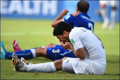 Quel joueur Luis Alberto Suárez a-t-il mordu à l'épaule lors de la Coupe du monde 2014 ?