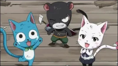 Comment se nomment les chats ?