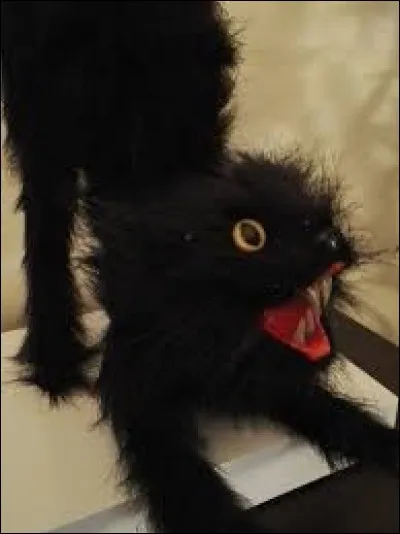 Voici Biscotte, l'animal empaillé d'Anthox Colabox. Est-ce un mâle ou une femelle ?