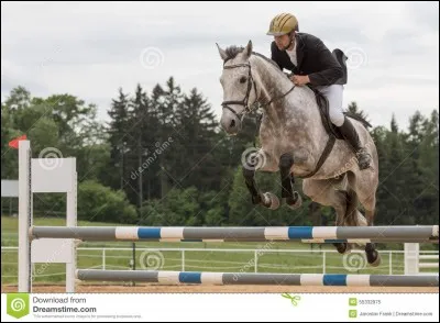 Comment appelle-t-on la veste du cavalier ?