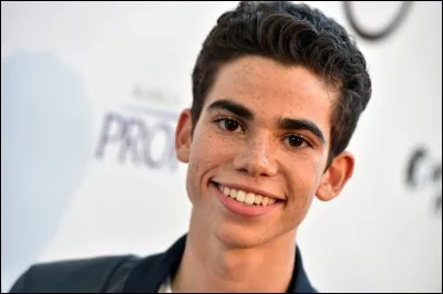 Par quelle carrière commence-t-il ?