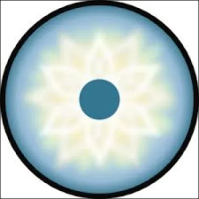 Qui est l'unique possesseur du Tenseigan ?